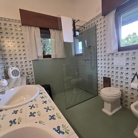 Cicala * بالانزا