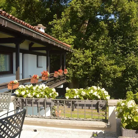 Cicala بالانزا