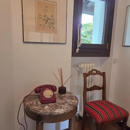 Cicala *
